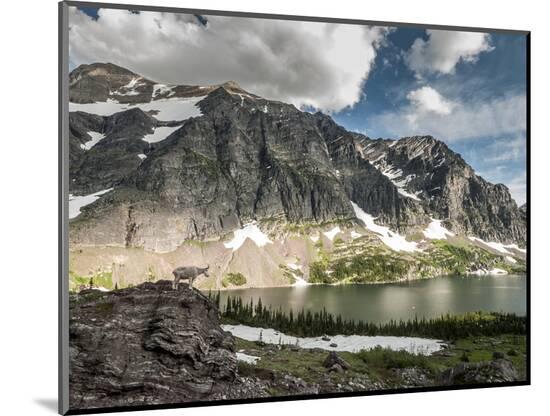 Photographic Print, , large