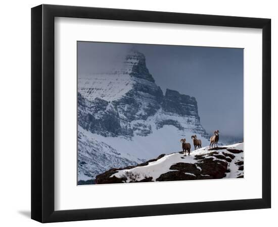 Premium Photographic Print, , large
