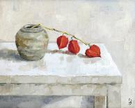 Stacked Bowls on a Table-Steven Johnson-Stretched Canvas