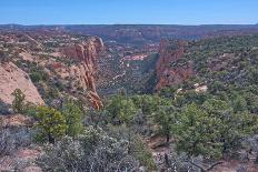 A northeast panorama of the Grand Canyon from Shoshone Point, USA-Steven Love-Framed Photographic Print