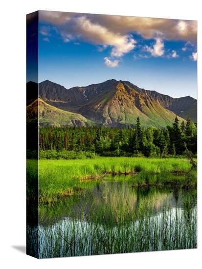 Stretched Canvas Print, , large
