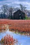 Red Barn-Steven Maxx-Photographic Print