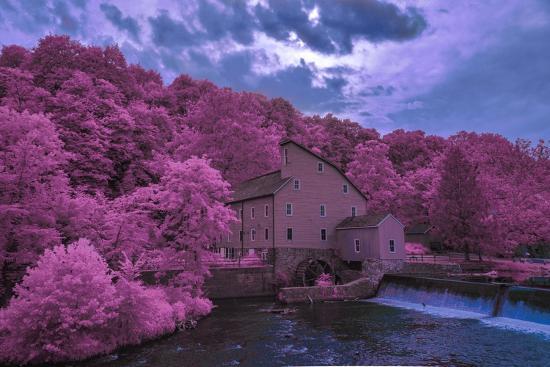 Photographic Print, , large