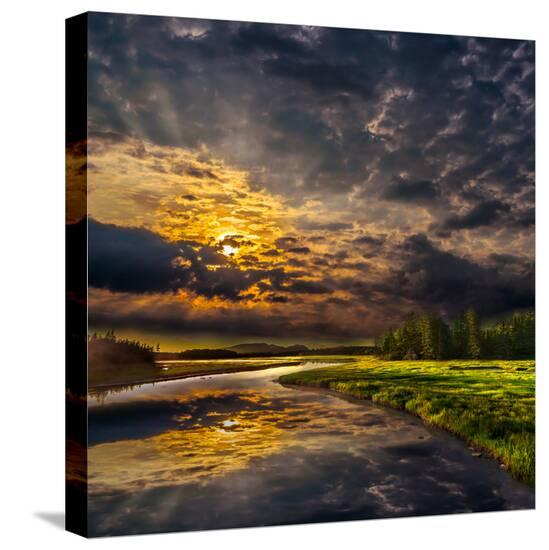 Stretched Canvas Print, , large