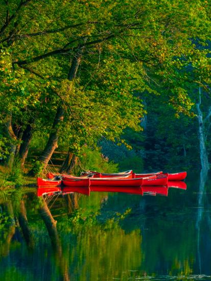 Premium Photographic Print, , large