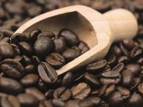 Fresh Coffee Beans Out of the Bag-Steven Morris-Photographic Print