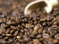Coffee Beans in a Scoop-Steven Morris-Photographic Print