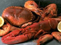 Lobster, Shrimp and Crab-Steven Morris-Photographic Print