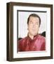 Steven Seagal-null-Framed Photo