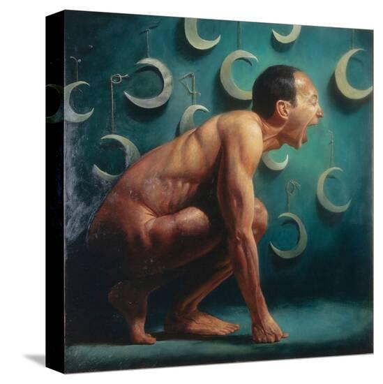 Stretched Canvas Print, , large