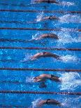 Start of a Men's Backstroke Swimming Race-Steven Sutton-Photographic Print
