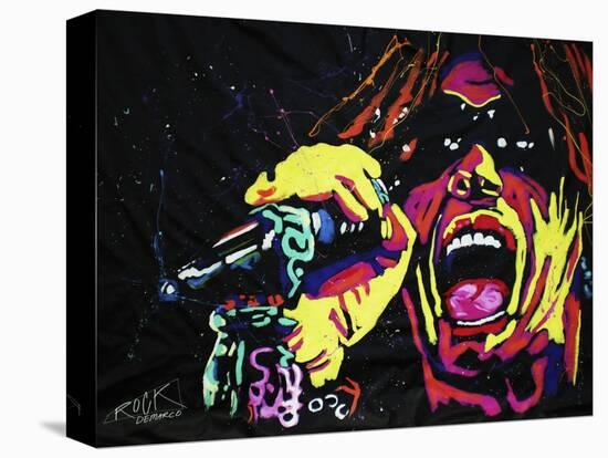 Steven Tyler 001-Rock Demarco-Stretched Canvas