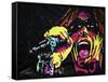 Steven Tyler 001-Rock Demarco-Framed Stretched Canvas