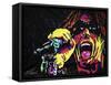 Steven Tyler 001-Rock Demarco-Framed Stretched Canvas