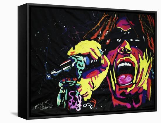 Steven Tyler 001-Rock Demarco-Framed Stretched Canvas