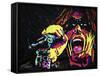 Steven Tyler 001-Rock Demarco-Framed Stretched Canvas