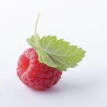 A Raspberry with Leaf (Close-Up)-Steven Wheeler-Photographic Print