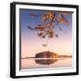 Black Frame