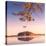 Stretched Canvas