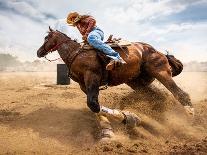 Horse Racing 7-Steven Zhou-Framed Stretched Canvas