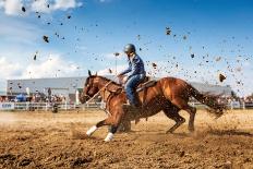 Horse Racing 7-Steven Zhou-Photographic Print
