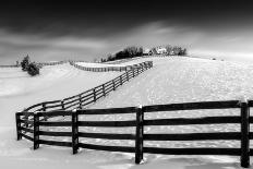 Horse Racing 7-Steven Zhou-Photographic Print