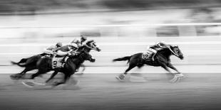 Horse Racing 7-Steven Zhou-Stretched Canvas