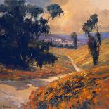 Safari Road-Stevens Allayn-Art Print