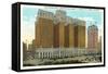 Stevens Hotel, Michigan Boulevard-null-Framed Stretched Canvas