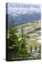 Stevenson, Washington - Pacific Crest Trail and Hikers-Lantern Press-Stretched Canvas