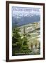 Stevenson, Washington - Pacific Crest Trail and Hikers-Lantern Press-Framed Art Print