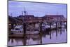 Steveston Fishing Village, Vancouver, British Columbia, Canada, North America-Richard Cummins-Mounted Photographic Print