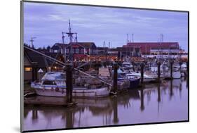 Steveston Fishing Village, Vancouver, British Columbia, Canada, North America-Richard Cummins-Mounted Photographic Print