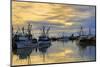 Steveston Fishing Village, Vancouver, British Columbia, Canada, North America-Richard Cummins-Mounted Photographic Print