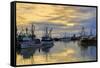 Steveston Fishing Village, Vancouver, British Columbia, Canada, North America-Richard Cummins-Framed Stretched Canvas