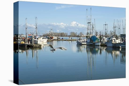 Steveston Scenic II-Dana Styber-Stretched Canvas