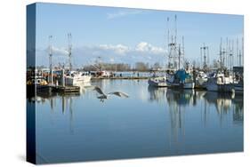 Steveston Scenic II-Dana Styber-Stretched Canvas