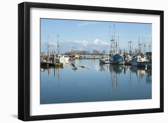 Steveston Scenic II-Dana Styber-Framed Photographic Print