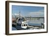 Steveston Scenic III-Dana Styber-Framed Photographic Print