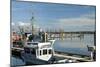 Steveston Scenic III-Dana Styber-Mounted Photographic Print