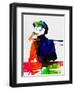 Stevie Watercolor-Lora Feldman-Framed Art Print