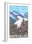 Stewart, BC - Goat Family-Lantern Press-Framed Art Print