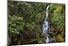 Stewart Creek Falls Near Nelson, British Columbia, Canada-Chuck Haney-Mounted Photographic Print