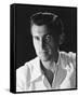 Stewart Granger-null-Framed Stretched Canvas