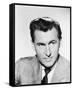 Stewart Granger-null-Framed Stretched Canvas