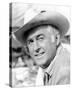 Stewart Granger-null-Stretched Canvas