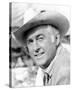 Stewart Granger-null-Stretched Canvas