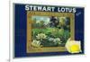 Stewart Lotus Lemon Label - Upland, CA-Lantern Press-Framed Art Print