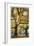 Stewart Park Walnut Trees III-Donald Paulson-Framed Giclee Print