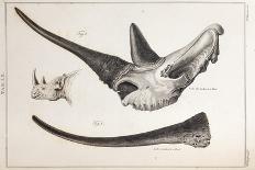 1886 Flammarion's Iguanodon Dinosaur-Stewart Stewart-Photographic Print